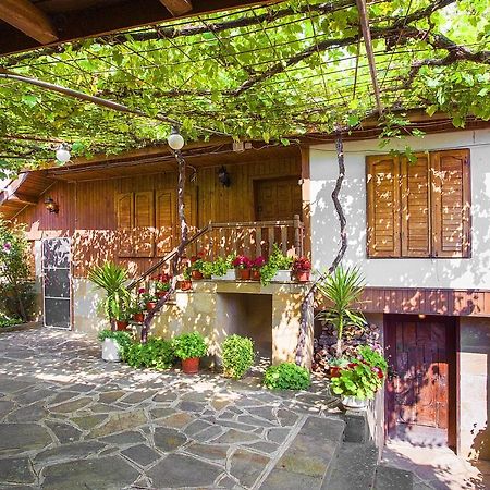 Хаджикольовата Къща Villa Medven Buitenkant foto