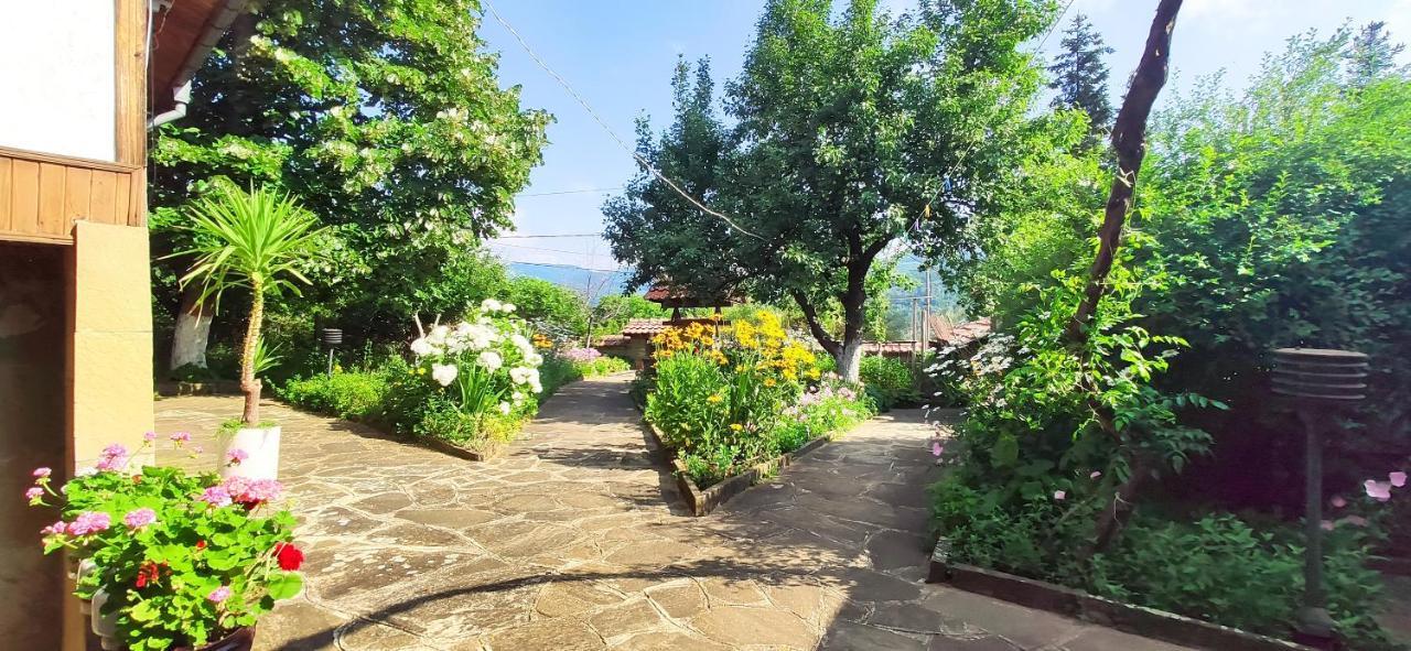 Хаджикольовата Къща Villa Medven Buitenkant foto