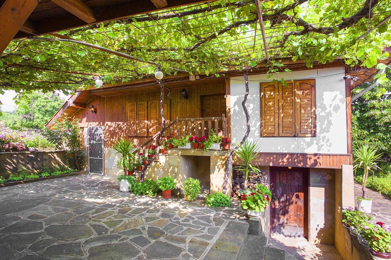 Хаджикольовата Къща Villa Medven Buitenkant foto